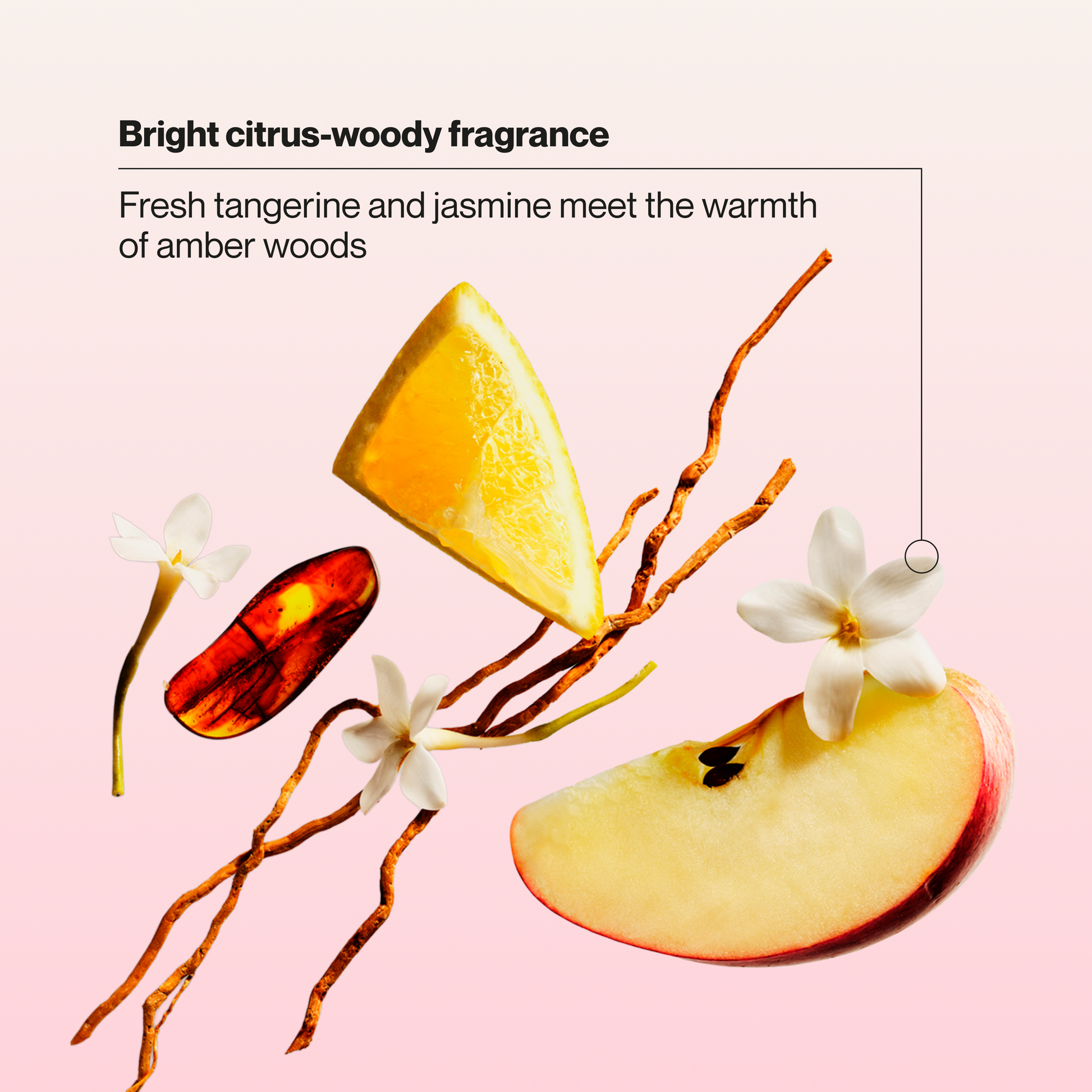Suave Hydra Gloss Sulfate Free Shampoo with Glycolic Acid & Camellia Flower Oil for Hydrated, Smooth, Glossy Shine