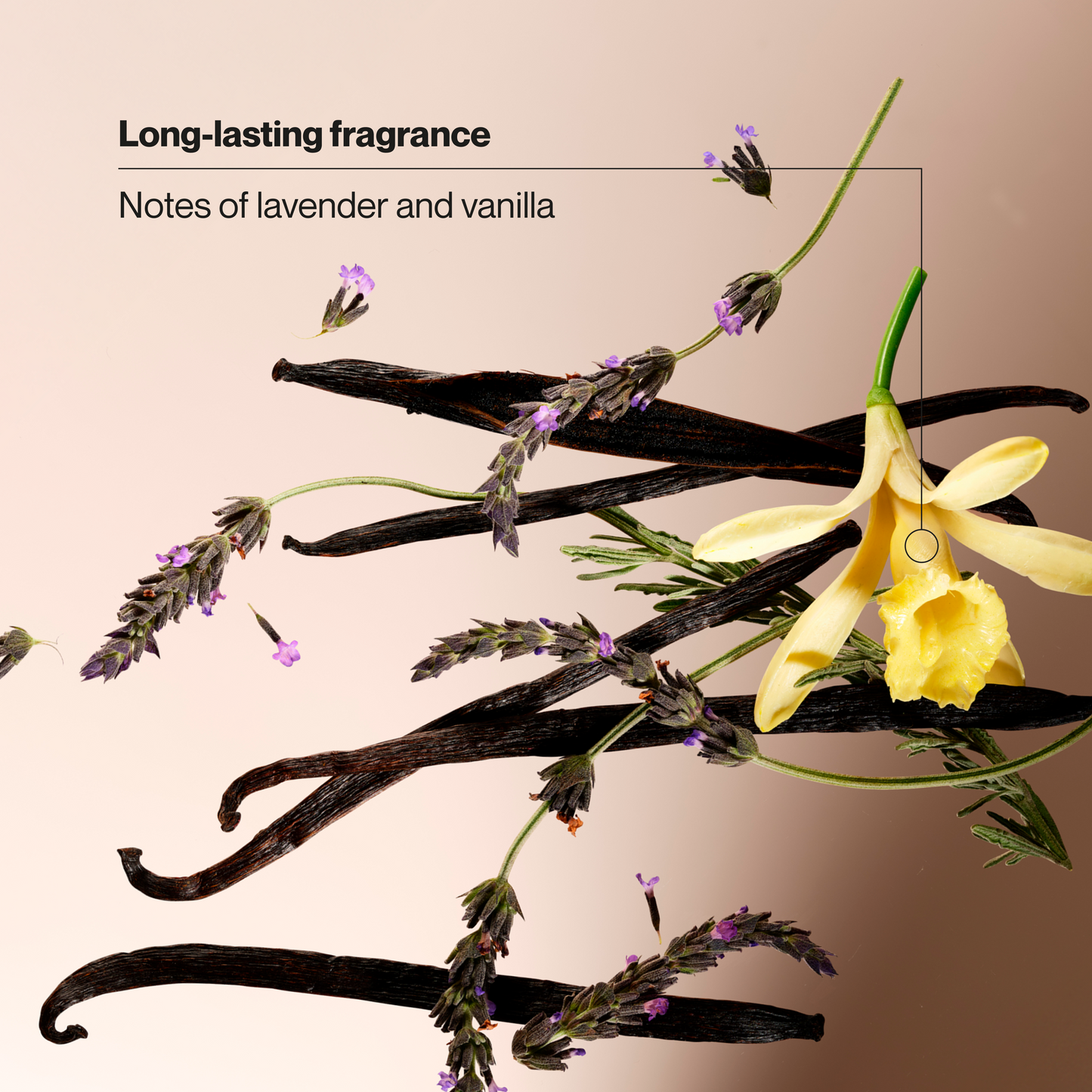 
                  
                    Suave Lavender & Vanilla Antiperspirant Deodorant for Women, Invisible Solid Underarm Deodorant Stick, 48HR Sweat, Odor & Wetness Protection, 2.6 OZ
                  
                