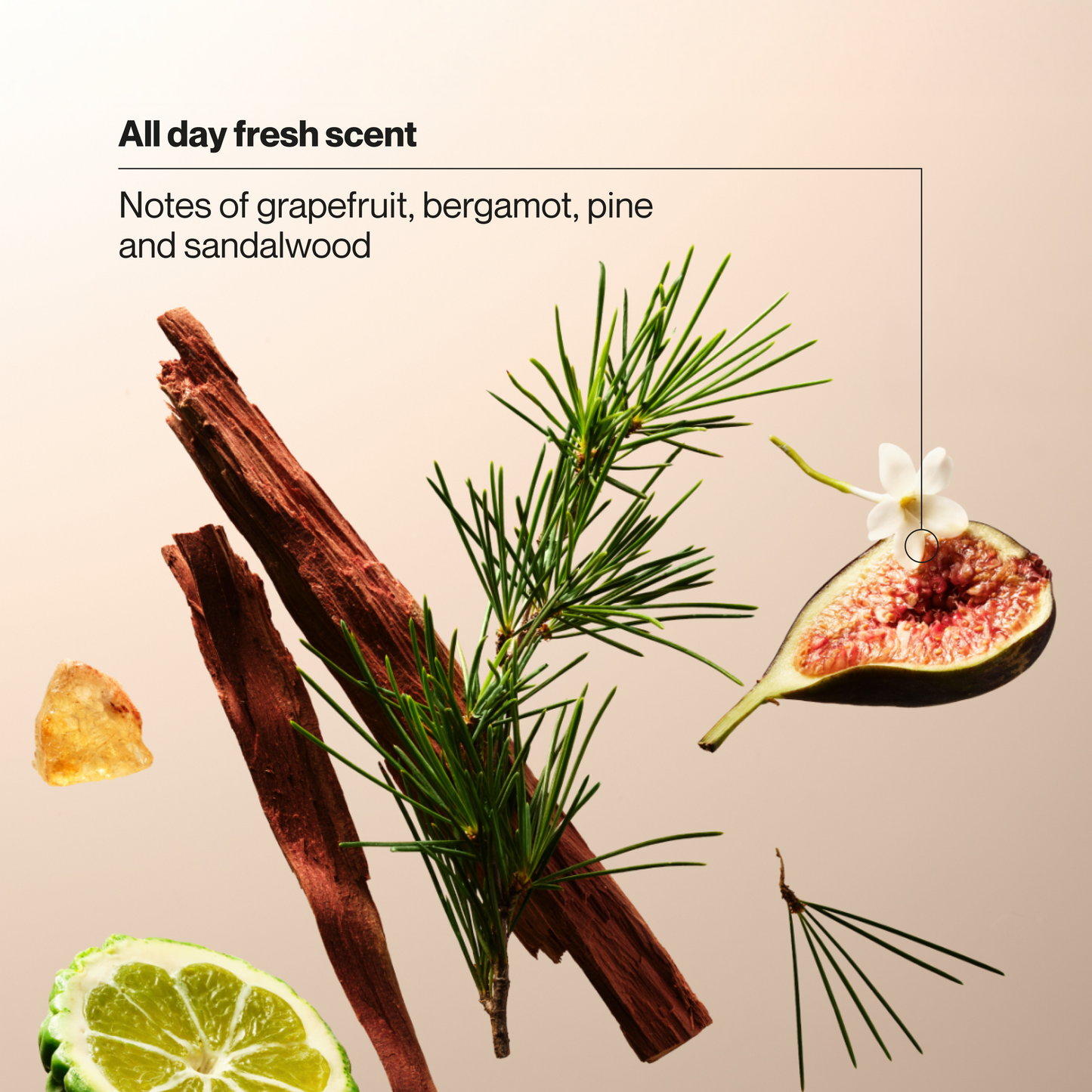 
                  
                    Suave BW Men Fresh Defense 6p 18oz
                  
                