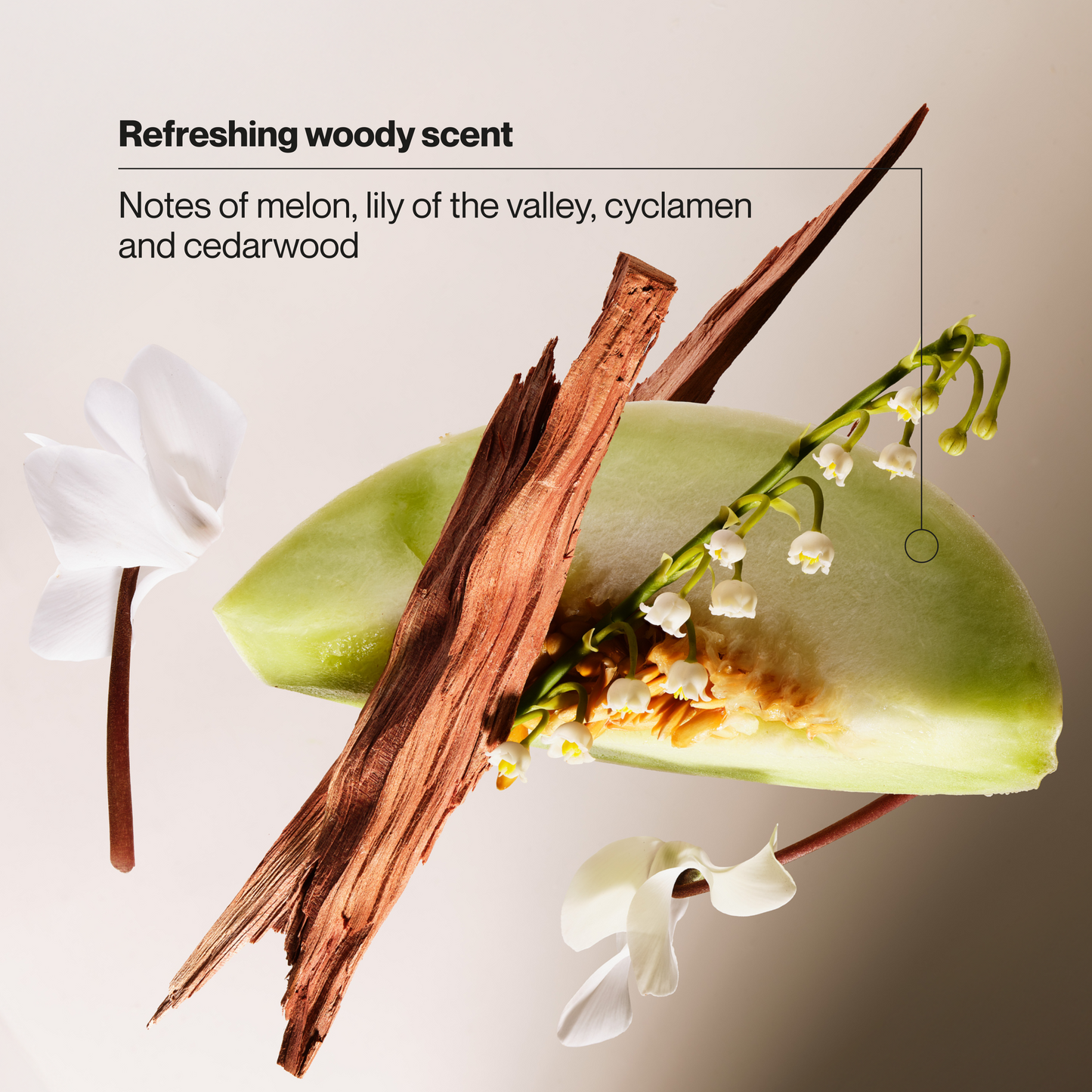 
                  
                    Suave Men 2 IN 1 Anti Dandruff Shampoo & Conditioner, Classic Clean, 72-HR Flake Control, 1% Pyrithione Zinc, Relieves Itchy & Dry Scalp, 28 FL OZ
                  
                