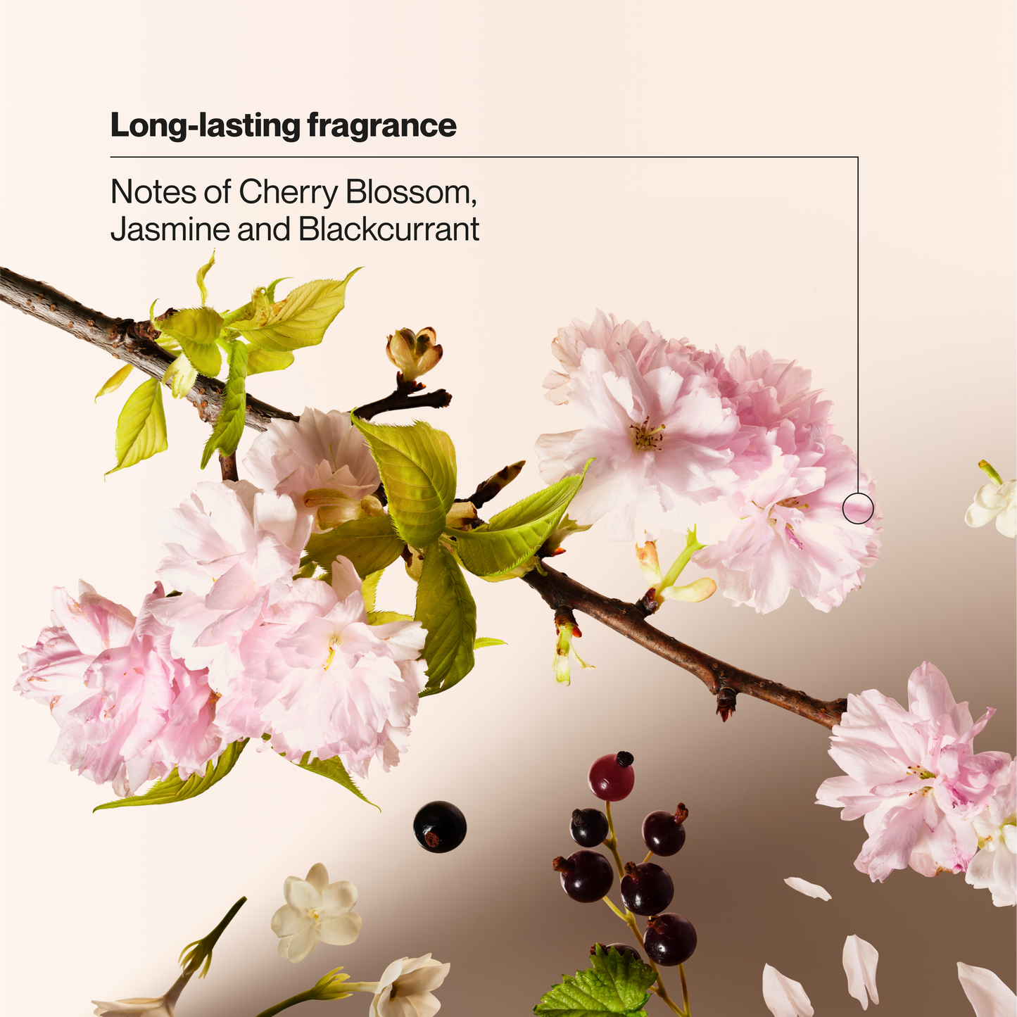 Wild Cherry Blossom Invisible Solid Antiperspirant Deodorant Stick
