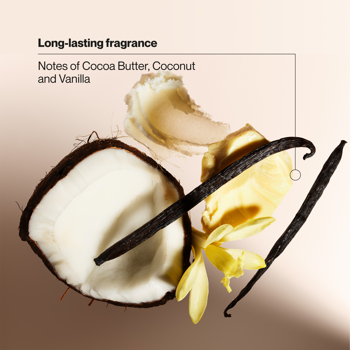 Cocoa Butter & Shea Invisible Solid Antiperspirant Deodorant