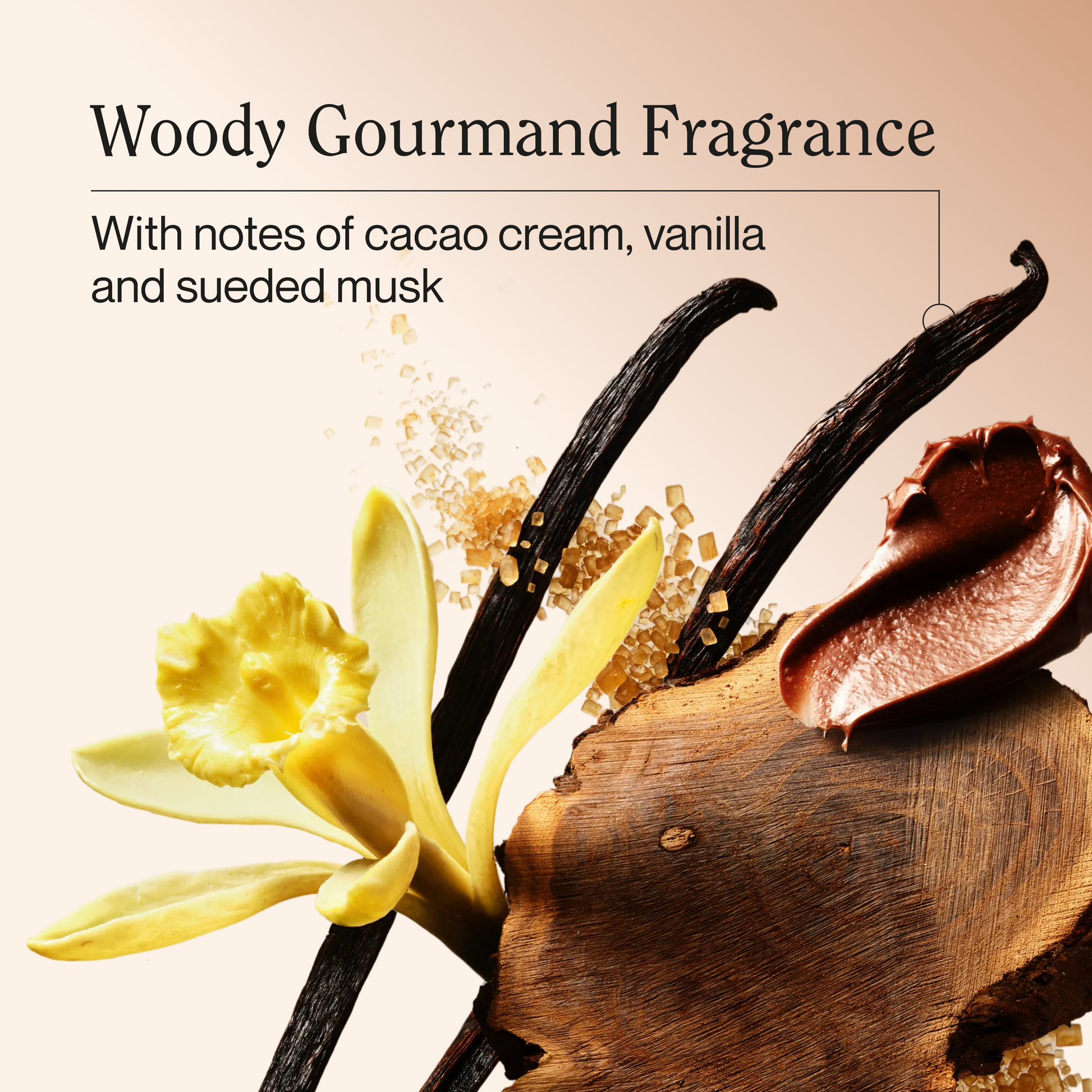 Woody gourmand fragrance note imagery: cacao cream, vanilla, and sueded musk