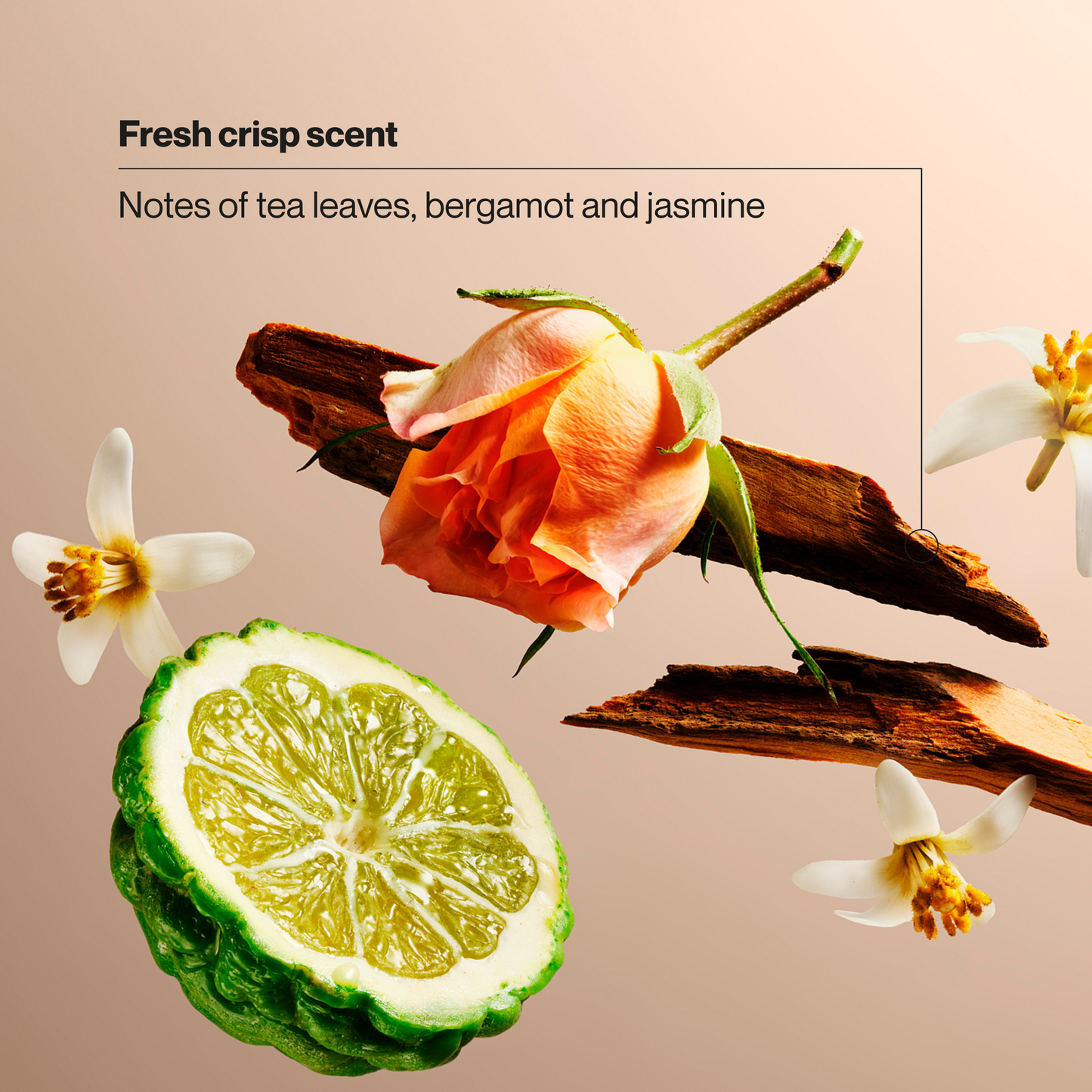 
                  
                    Suave Purely Clean Dry Spray Antiperspirant Deodorant, 48 HR Weightless Sweat & Odor Protection, Invisible, Talc Free, Wax Free, Vegan, 3.8 OZ
                  
                