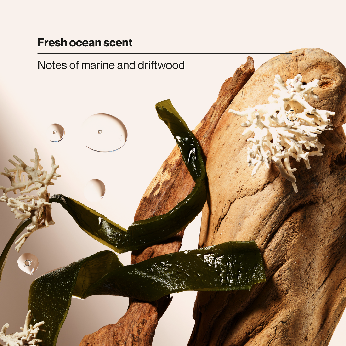 
                  
                    Suave Men Aluminum Free Deodorant, Ocean Charge Scent, 48HR Underarm Odor Protection & Freshness, No Parabens, Dyes or Talc, 2.7 OZ
                  
                