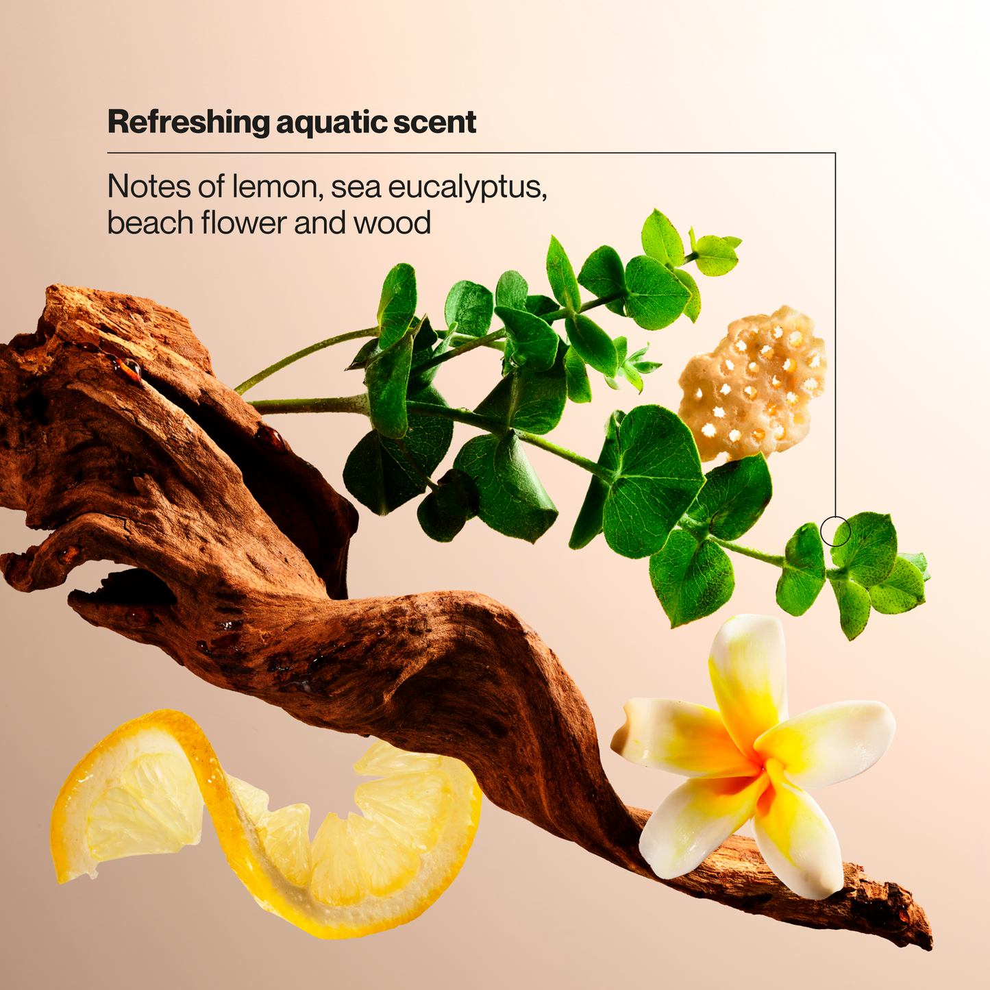 
                  
                    Jabón de manos antibacteriano Suave, con minerales marinos y aloe, elimina el 99.9% de las bacterias. Jabón líquido suave e hidratante para cocina y baño, 355 ml (12 onzas líquidas).
                  
                