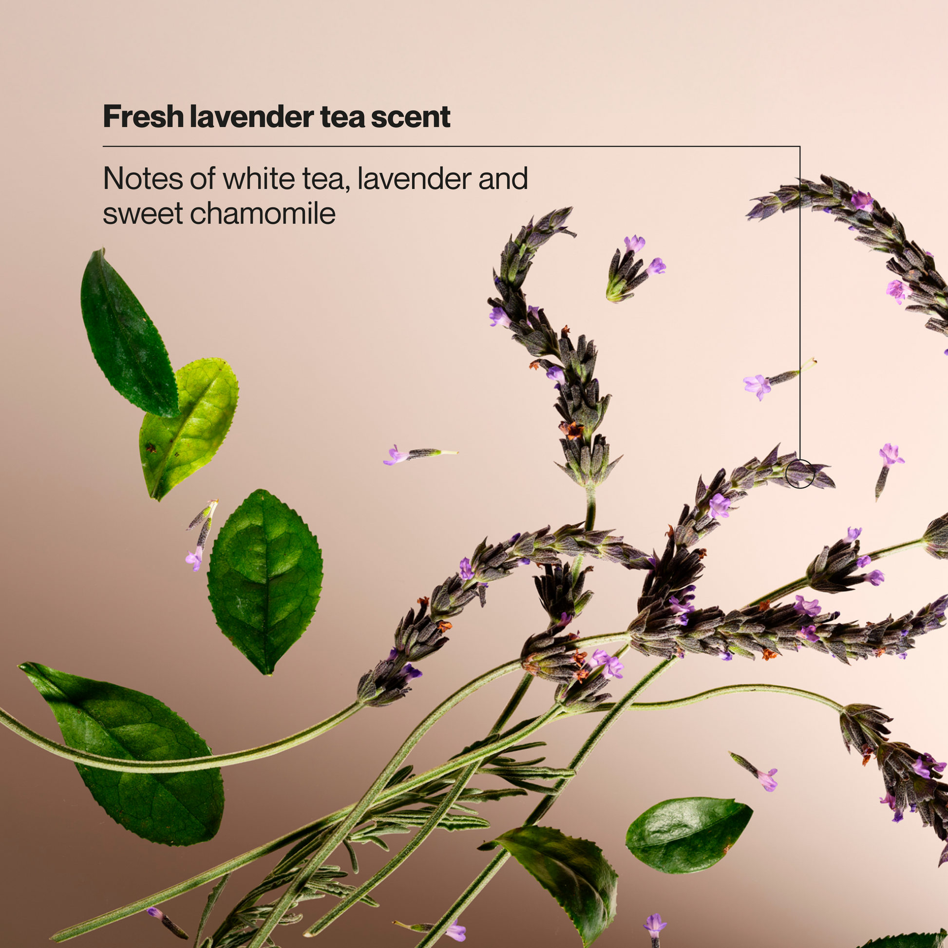 Jabón de manos Suave de té blanco y lavanda, fórmula hidratante con pH equilibrado para una piel suave y tersa, 12 ml