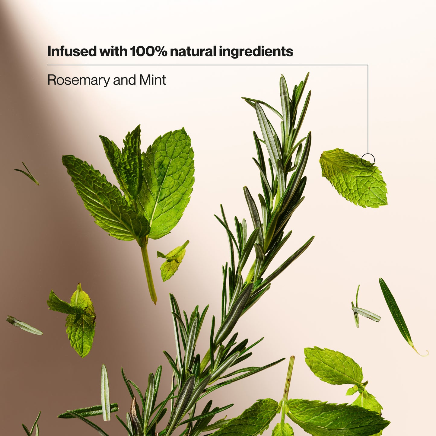 Gorgeous Rosemary Mint Shampoo Wallpaper Concept Gorgeous Rosemary Mint Shampoo Wallpaper Concept