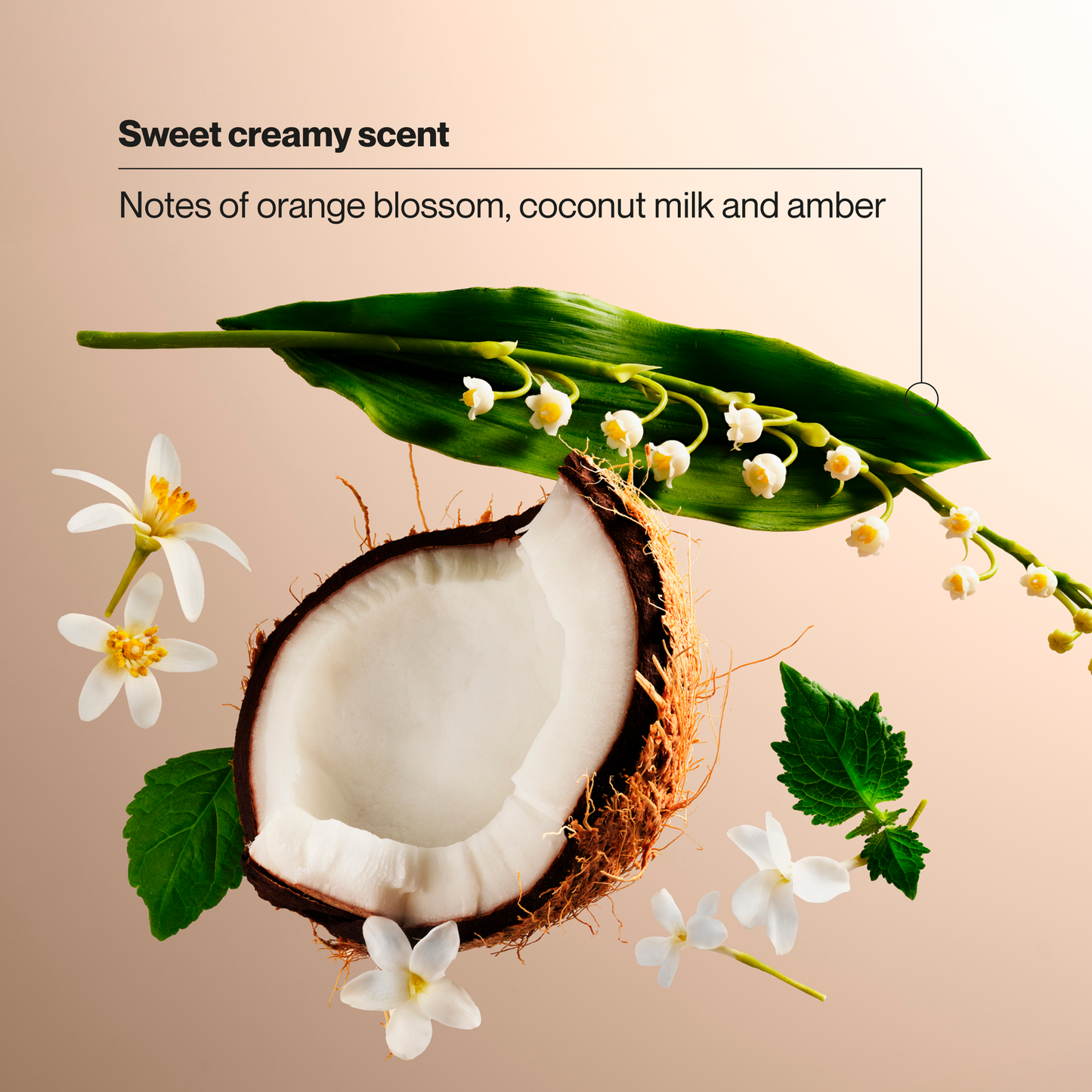 Suave Coconut Cashmere Dry Spray Antiperspirant Deodorant, 48 HR Weightless Sweat & Odor Protection, Invisible, Talc Free, Wax Free, Vegan, 3.8 OZ