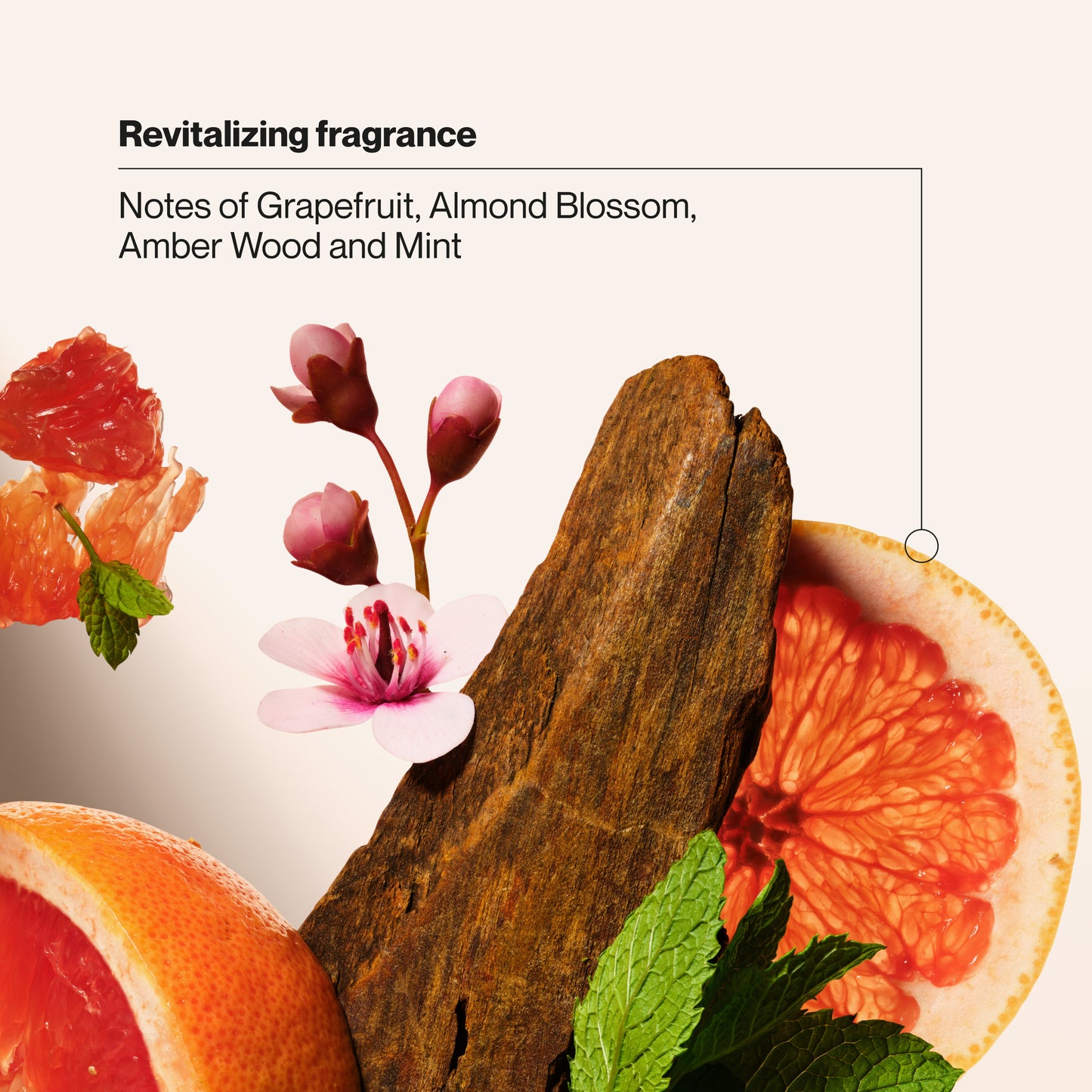 Champú morado Bonding Infusion